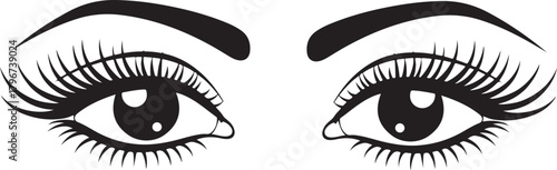 Vector illustration of a pair of human eyes with long eyelashes and well-defined eyebrows