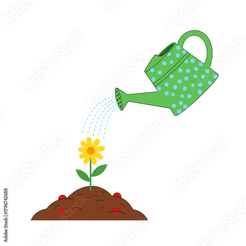 A small yellow flower is growing from the soil and being watered from a green polka dot watering can.