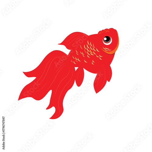 Hand drawn koi fish vector. Koi carp line art illustration