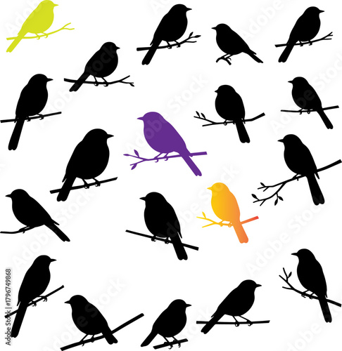 Various bird silhouettes perched on branches, one purple and yellow