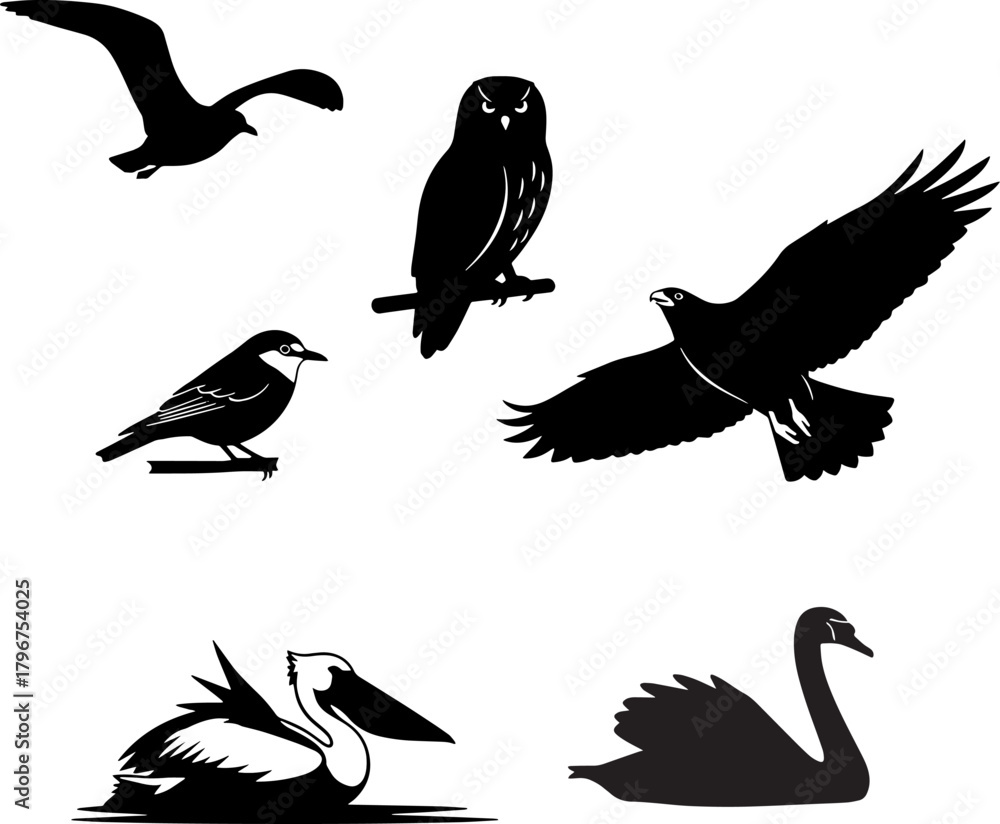 Fototapeta premium Diverse bird silhouettes: owl, eagle, seagull, robin, pelican, swan