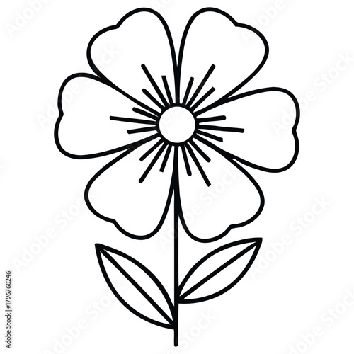 Elegant Floral Design Outlined Petals Botanical Line Art Drawing