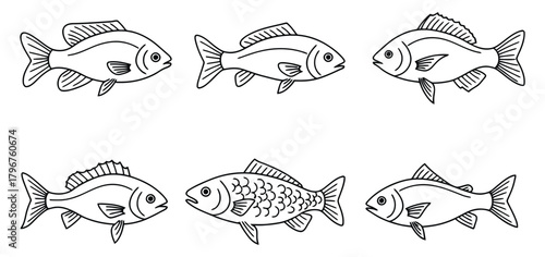 Variety of Simple Fish Illustrations Perfect for Educational Nature Projects
