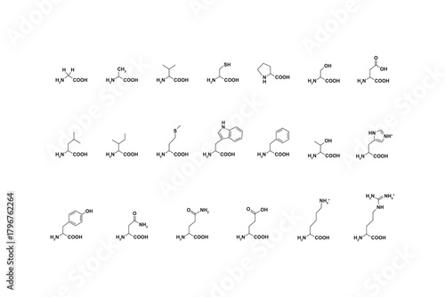 Amino Acid Types Science Design. Vector Illustration.