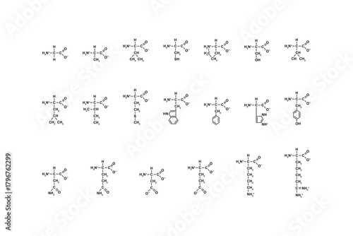Amino Acid Types Science Design. Vector Illustration.