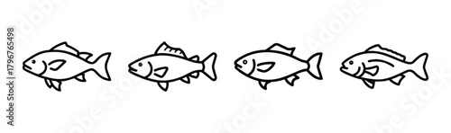 Vector illustration of a red drum fish for seafood and fishing