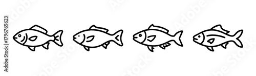 Sleek sea bass vector illustration for aquatic design projects
