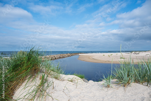 Fototapeta Naklejka Na Ścianę i Meble -  Green grass on dunes at Baltic sea coast.