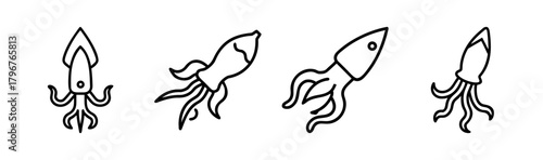 Stylized vector squid illustration nautical ocean life marine creature art