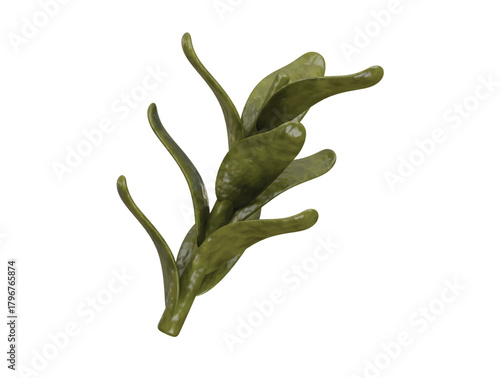 rosemary icon 3d illustration render