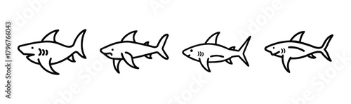 Vector illustration of a thresher shark swimming in water