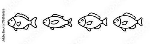 Scalable vector illustration of a tilapia fish for graphic design