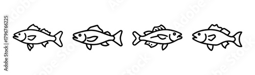 Vector illustration of a realistic walleye fish icon