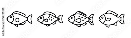 Colorful parrotfish illustration vector art scalable tropical marine life