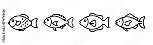 Colorful parrotfish illustration vibrant marine life vector art