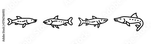 Scalable vector illustration of a pike fish icon
