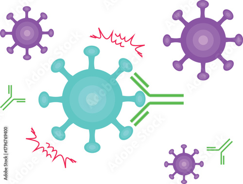 Antibodies neutralize viruses transparent background
