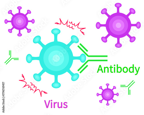 Antibodies neutralize viruses english transparent background