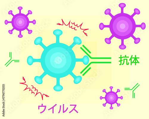 Antibodies neutralize viruses japanese