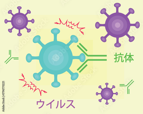 Antibodies neutralize viruses japanese