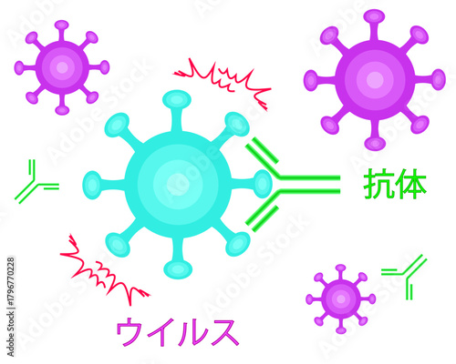 Antibodies neutralize viruses japanese transparent background