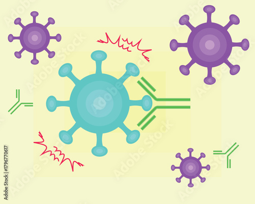 Antibodies neutralize viruses