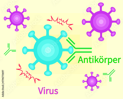 Antibodies neutralize viruses german