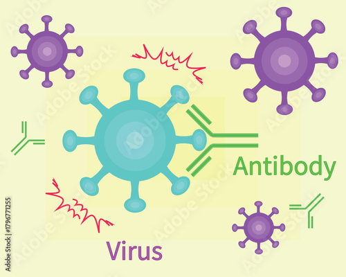 Antibodies neutralize viruses english