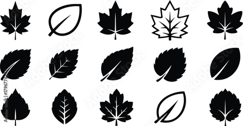 Leaf set. Leaf icons set ecology nature element, black leafs, environment and nature eco sign. Leaves  vector