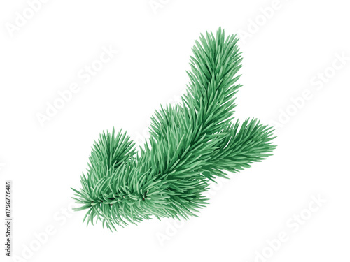A single green pine branch with soft needles on a white background