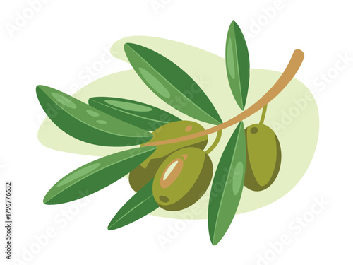 Illustration of a green olive branch with ripe olives and leaves