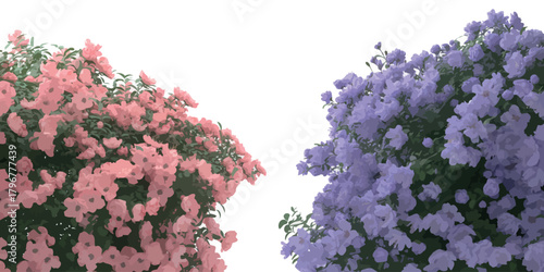 Two flowering trees with pink and purple blossoms against a bright sky