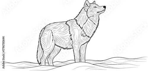 Majestic wolf standing proudly in a snowy landscape line art illustration