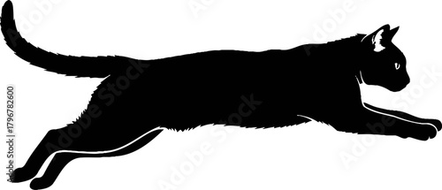 Silhouette of a Leaping Cat An Illustration of Movement and Grace