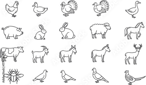 Collection of hand drawn farm animals and insects in sketchy line art style