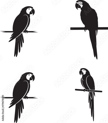 Perching Macaw Parrot Silhouettes Vector Icon Set - Black Tropical Birds on a Branch