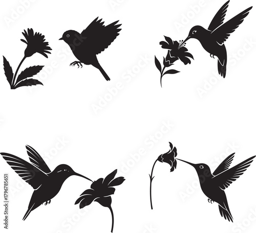 PrintHummingbird and Bird with Flower Silhouettes Vector Icon Set - Black Flying Birds and Flora