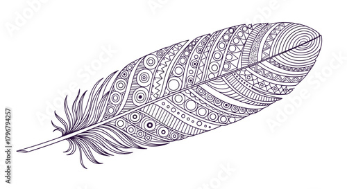 Intricate feather illustration featuring detailed zentangle patterns and delicate linework, creating a bohemian and artistic design element for creative projects.