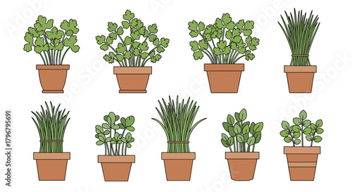 A collection of potted herbs and leafy plants arranged in a grid, showcasing various shades of green and terracotta pots, perfect for gardening or botanical illustrations.