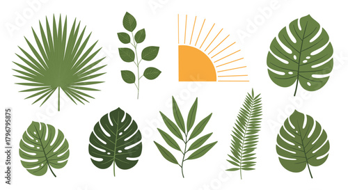 A vibrant collection of tropical leaves and a golden sun illustration, perfect for summer designs, botanical art, and nature-themed projects.