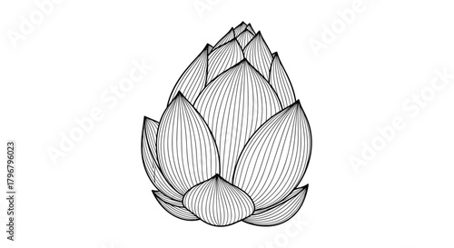 Detailed botanical illustration of an artichoke, showcasing overlapping scales and organic textures in a vintage engraving style.