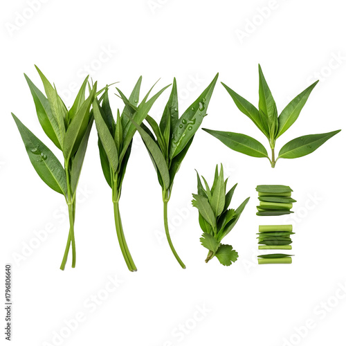 Fresh laksa leaves (daun kesum), composition lay flat, top view, sliced pieces, isolated on transparent background