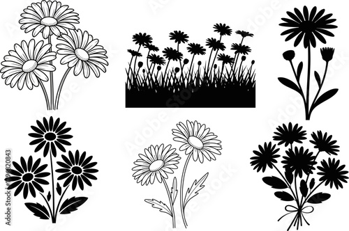 Collection of Daisy Flower Illustrations and Silhouettes for Creative Design Projects and Bundle Design Applications
