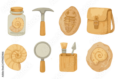 Discovering fossils and tools used for paleontology in a natural history exploration