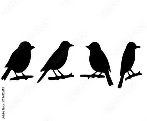 Silhouette of four birds perched on branches during early morning light