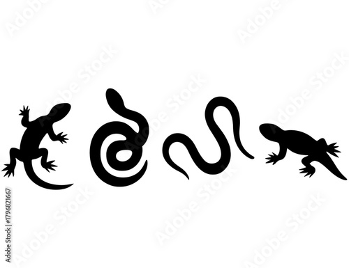 Silhouettes of reptiles and amphibians against a white background showcasing unique body shapes