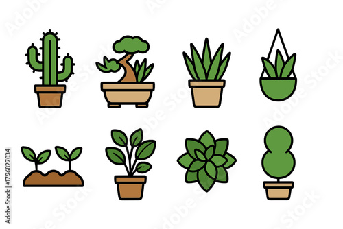Collection of various houseplants in decorative pots showcasing nature's beauty and diversity in indoor gardening