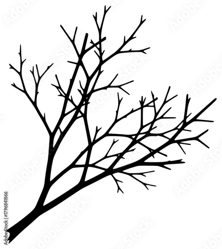 A black and white silhouette of a bare tree branch, black, branch, illustration, limb, profile, tree, tree branch, twig, against transparent background