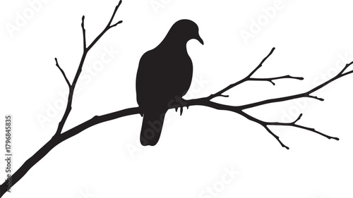 Bird on Branch Silhouette Vector – Minimal Black and White Nature Illustration