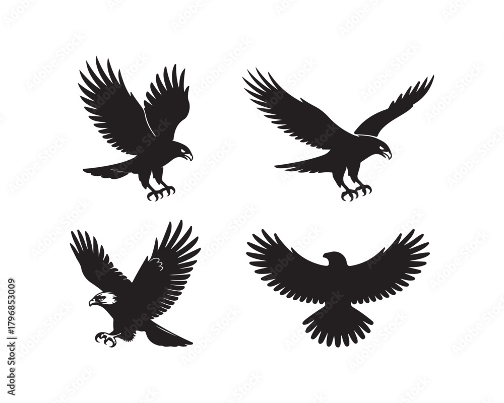 Fototapeta premium hawk silhouette, hawk vector, hawk collection, hawk set, bird of prey silhouette, flying hawk, hunting hawk, soaring hawk, majestic hawk design, forest hawk silhouette, sky hunter hawk vector